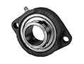 2-Bolt Flange LF 200 Silver Series (LF201-12SMM)