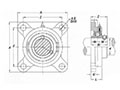 SNATF Thermoplastic 4-Bolt Flanges - Dimensions